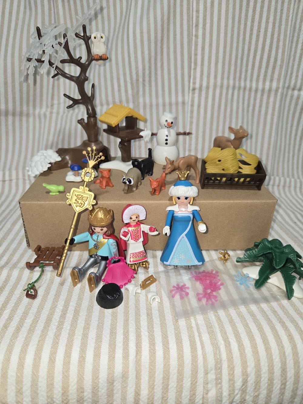 Playmobil Winter Princess Playset with Figures & Animal Accessories